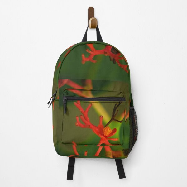 Item preview, Ginseng Flower Red Orange Nature Background Green Photo designed and sold by Eyanosa Native Design.