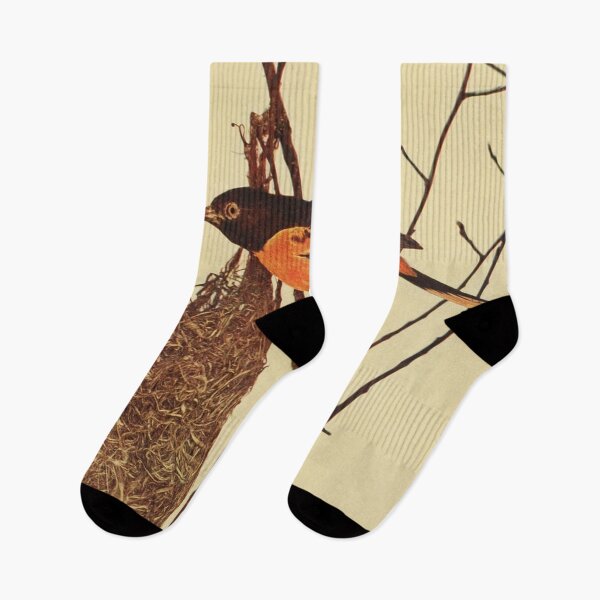 Item preview, Baltimore Oriole con nido designed and sold by laguitan10.