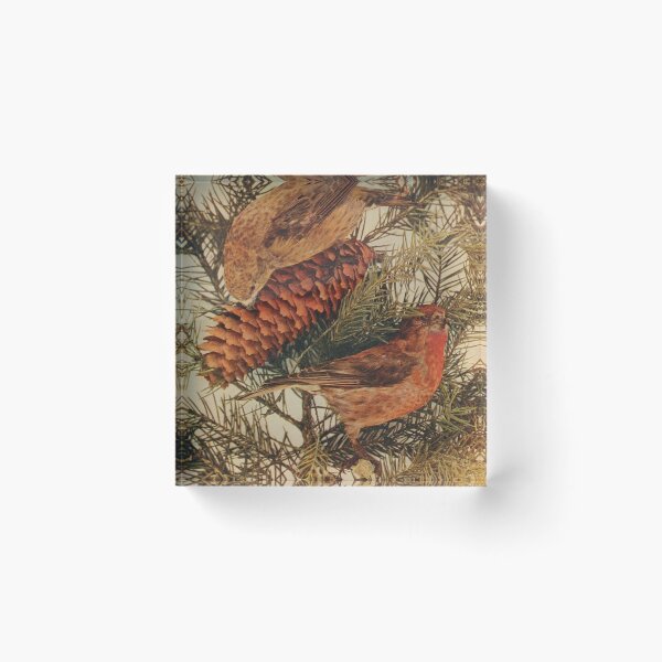 Item preview, Red Crossbills On The Pine Tree designed and sold by laguitan10.