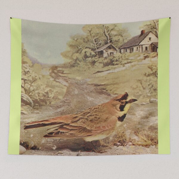 Item preview, Horned Lark On The Ground designed and sold by laguitan10.