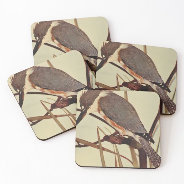 Item preview, Kingfisher Waiting For The Fish designed and sold by laguitan10.