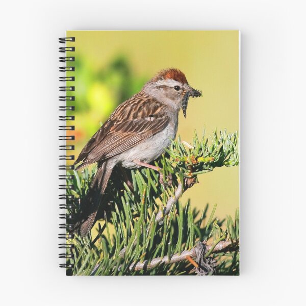 Item preview, Chipping Sparrow designed and sold by adjohnson.