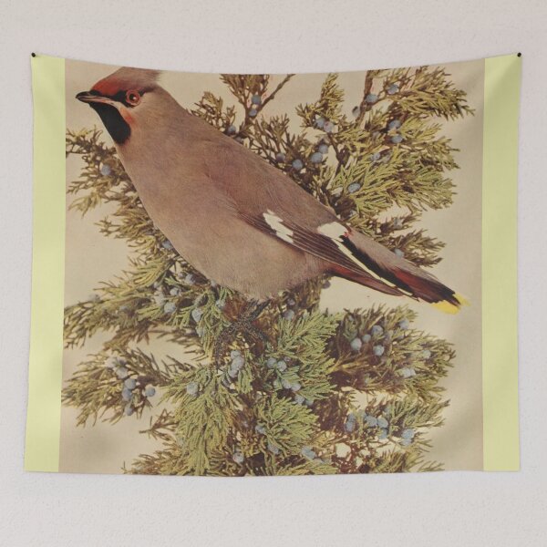 Item preview, Bohemian Waxwing On A Tree designed and sold by laguitan10.