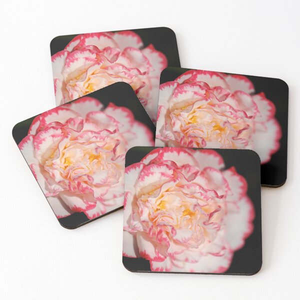 Item preview, Camellia Flower Love designed and sold by Joy Watson - Natural Light Photography .