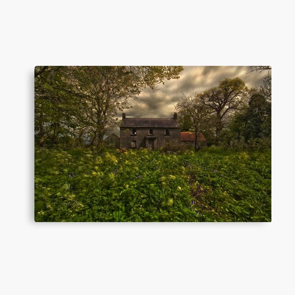 Old irish house Canvas Print