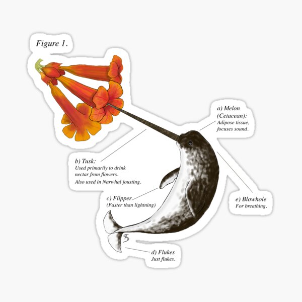 The "Science" of Narwhals Sticker