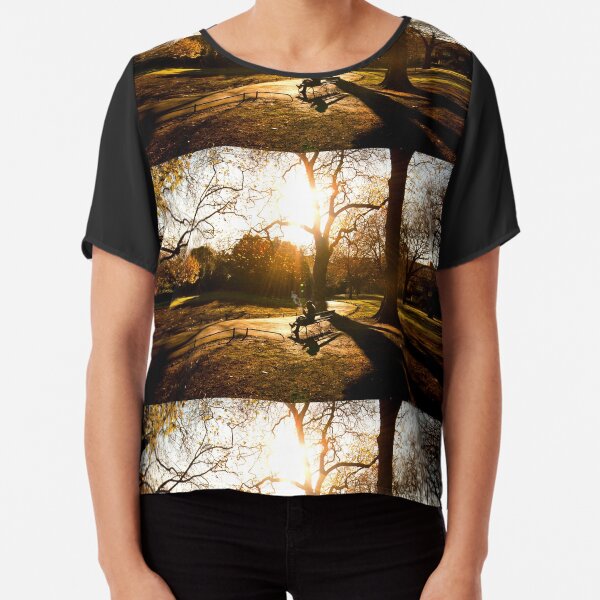 autumn in st stephens green Chiffon Top