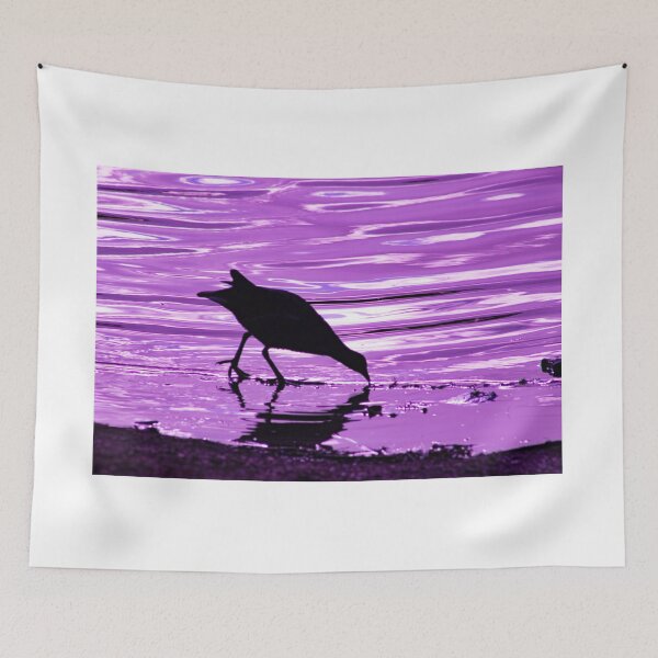 Item preview, Coot drinking  designed and sold by Alison and Christine Whelan.
