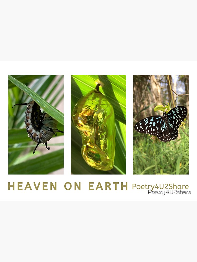 "Metamorphosis by Heaven on Earth " Sticker for Sale by Poetry4U2share