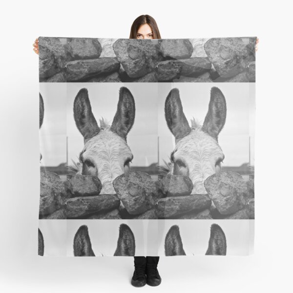 peeping in aran Scarf