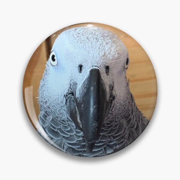 Item preview, African Grey Parrot Photograph  designed and sold by Emma Martinez.