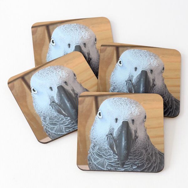 Item preview, African Grey Parrot Photograph  designed and sold by Emma Martinez.