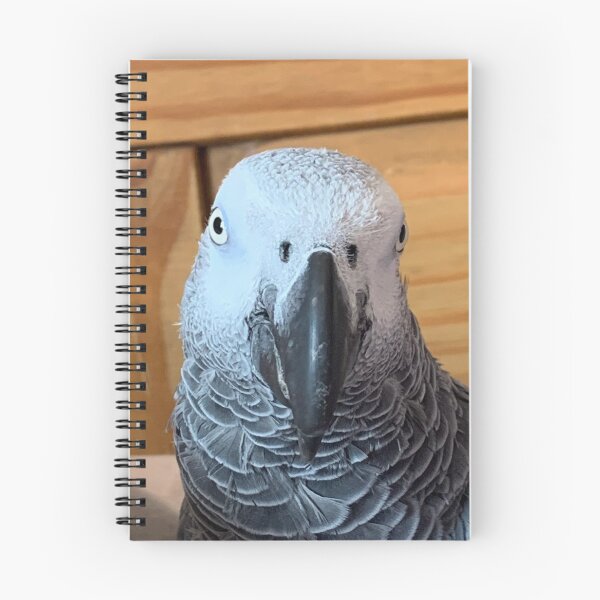 Item preview, African Grey Parrot Photograph  designed and sold by Emma Martinez.
