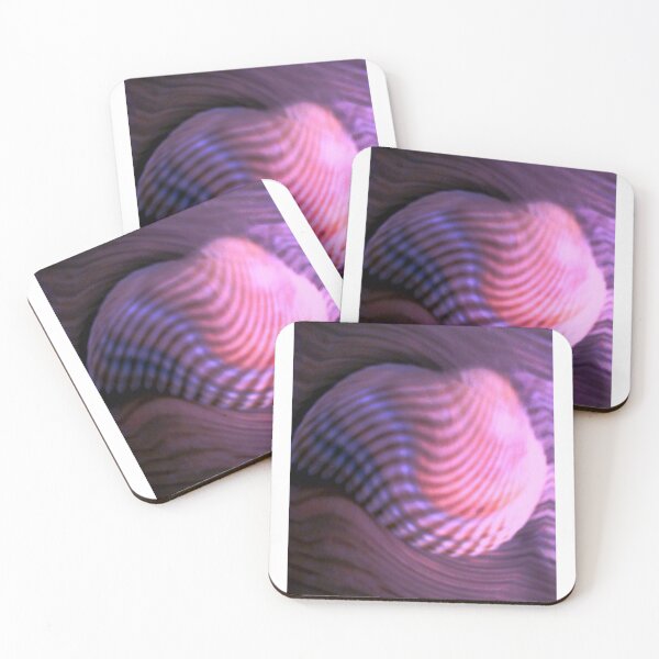 Item preview, Nighttime seashell designed and sold by chaosxr.