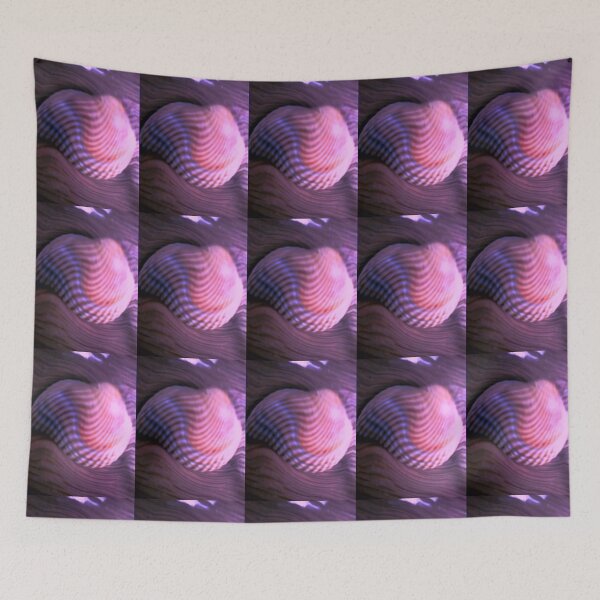 Item preview, Nighttime seashell designed and sold by chaosxr.