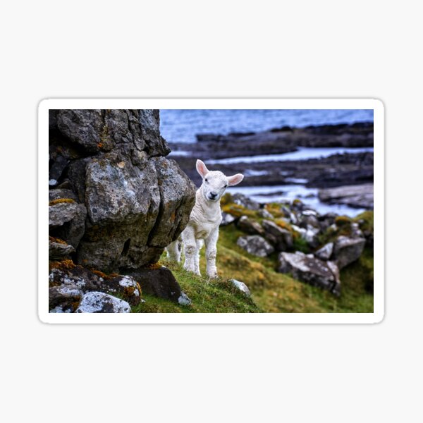 Hallo ! Sticker