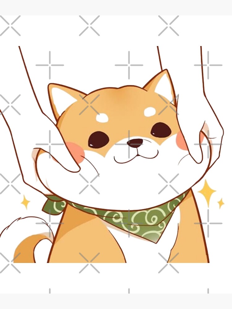 Shiba inu chubby fashion