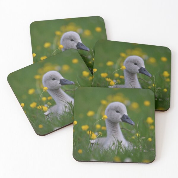 Item preview, Cygnet Amongst The Buttercups designed and sold by ClaireChown.
