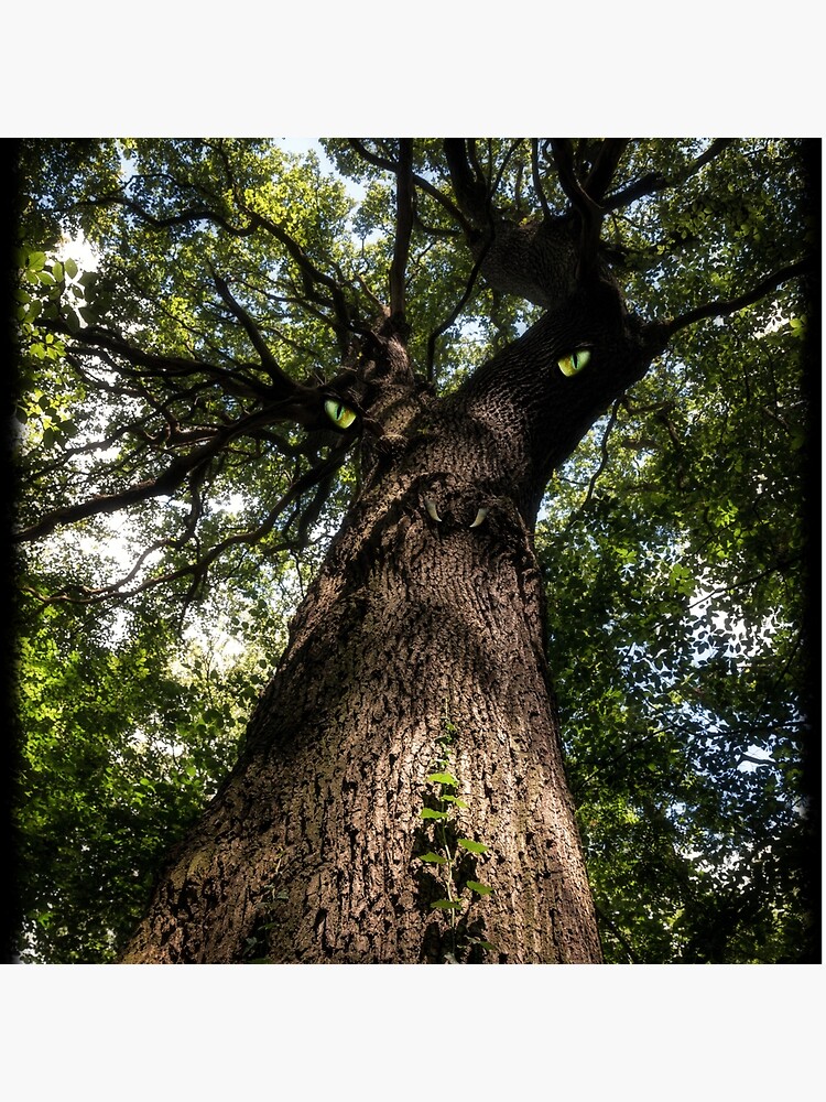 Fangorn von indeepsilence