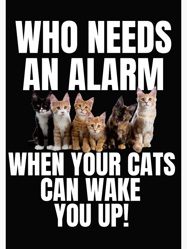 Cats tell you wake up. Cat meme ~ Clip Art #139682511