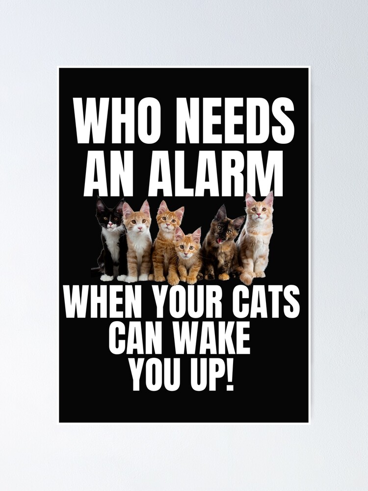 "CAT WAKE UP, CAT ALARM CLOCK, FUNNY CAT MEME, CUTE CAT WAKE UP