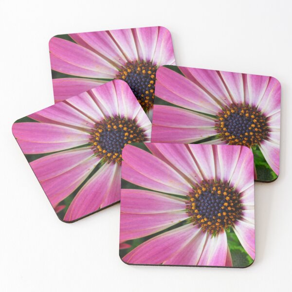 Item preview, Pink daisy designed and sold by Ann Biddlecombe.