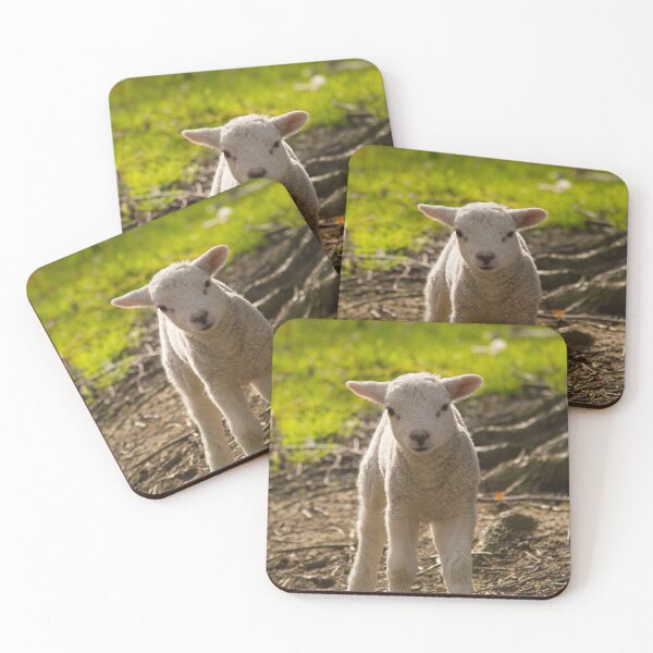 Item preview, Spring Lamb designed and sold by PaulBaldwin.