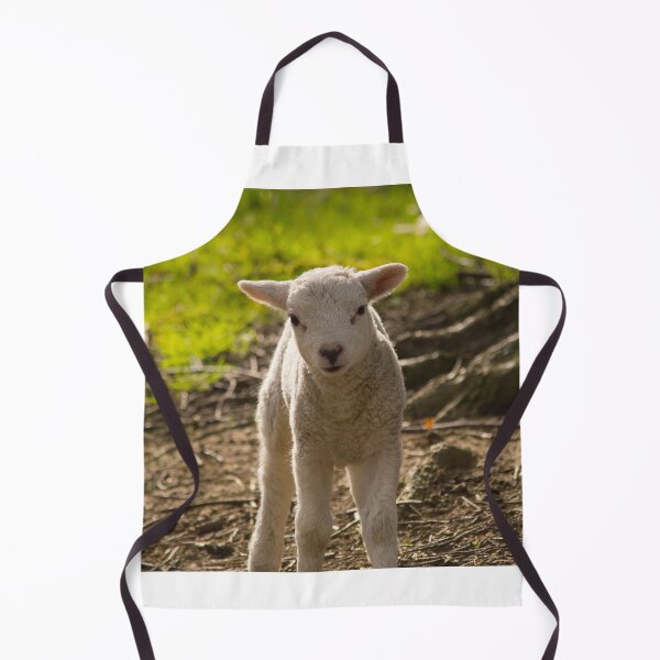 Item preview, Spring Lamb designed and sold by PaulBaldwin.