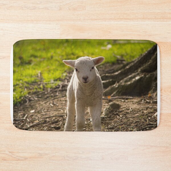 Item preview, Spring Lamb designed and sold by PaulBaldwin.