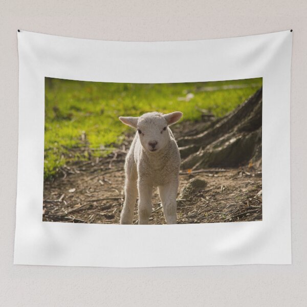 Item preview, Spring Lamb designed and sold by PaulBaldwin.