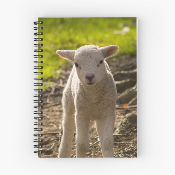 Item preview, Spring Lamb designed and sold by PaulBaldwin.