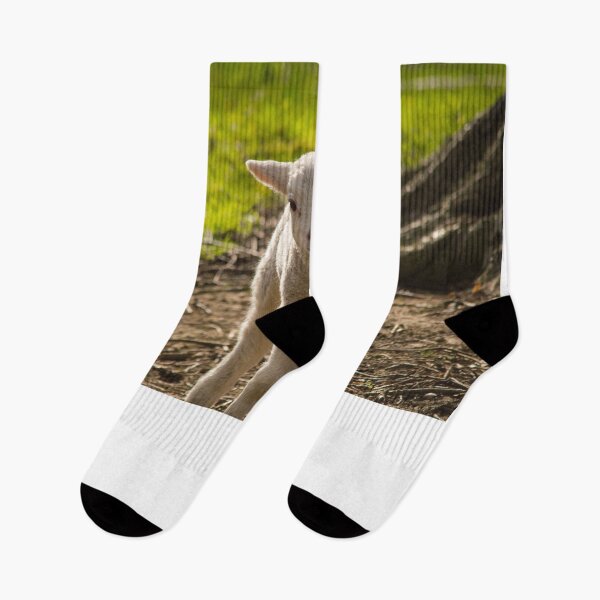 Item preview, Spring Lamb designed and sold by PaulBaldwin.