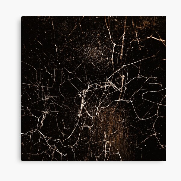Item preview, Spider Web Print Grunge Dark Texture designed and sold by DFLC Prints.