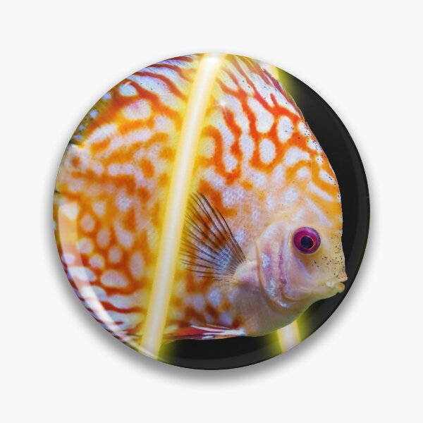 Item preview, Fish designed and sold by Sebak1979.