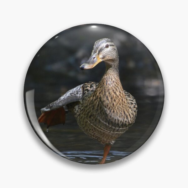 Item preview, Ballet Dancing Mallard designed and sold by ClaireChown.