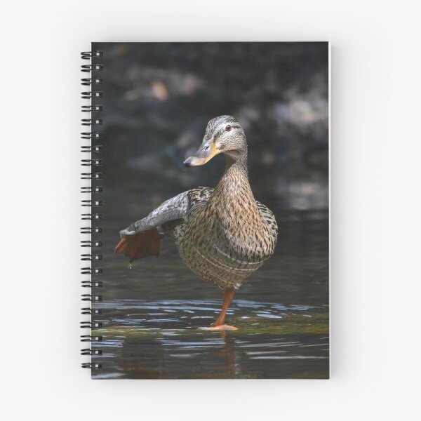 Item preview, Ballet Dancing Mallard designed and sold by ClaireChown.