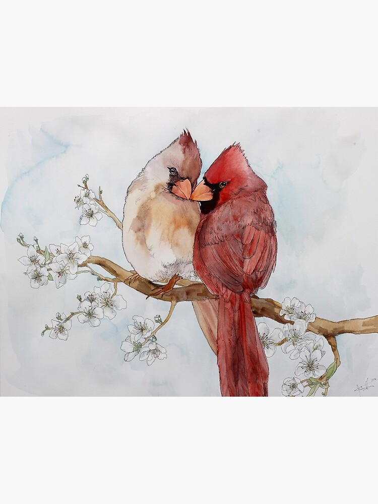 Beautiful Crazy Lyrics Couple and Cardinal Birds, Print Posters