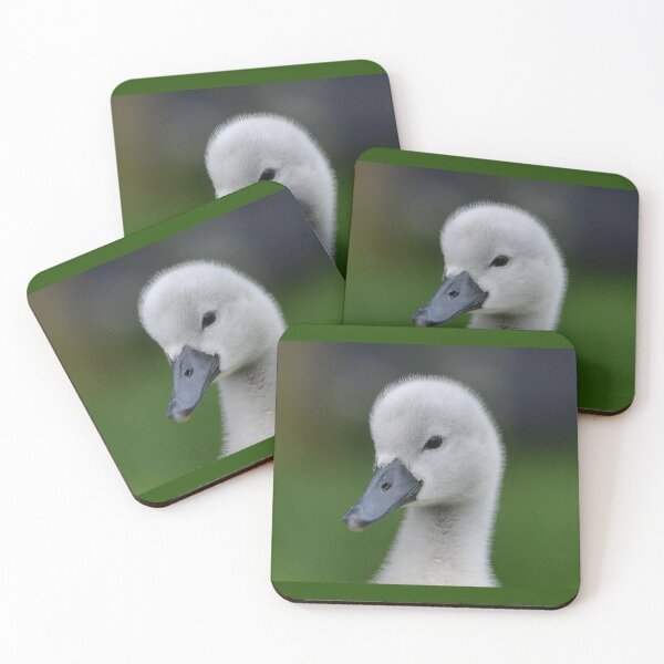 Item preview, Cygnet Portrait designed and sold by ClaireChown.