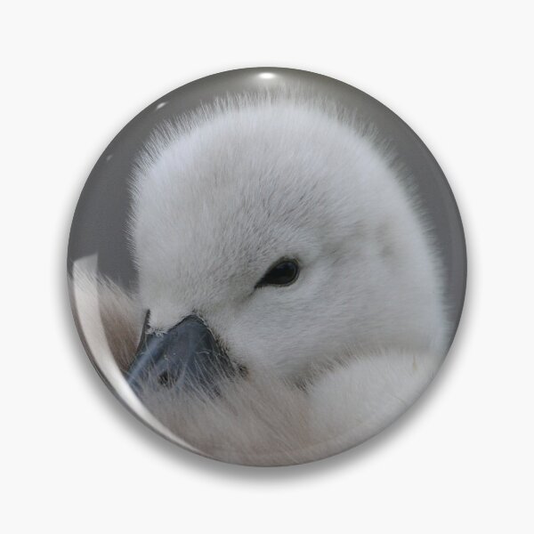 Item preview, Snuggly Cygnet designed and sold by ClaireChown.