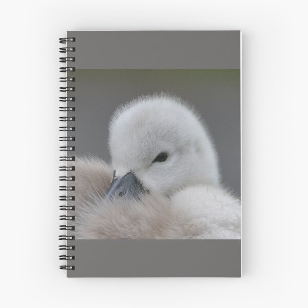 Item preview, Snuggly Cygnet designed and sold by ClaireChown.