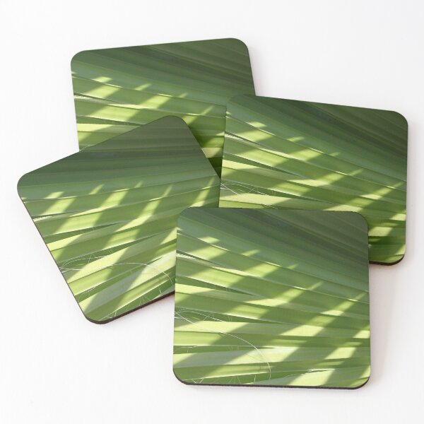 Item preview, Ruffled Fan Palm Pleated Fronds With Shadows Photograph designed and sold by taiche.