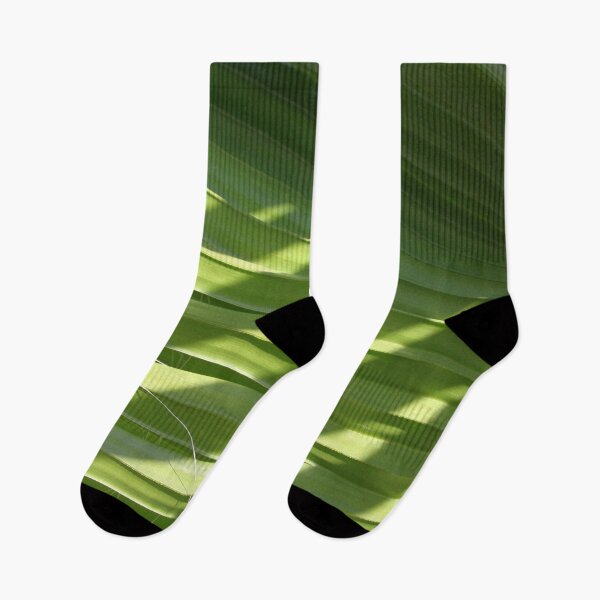 Item preview, Ruffled Fan Palm Pleated Fronds With Shadows Photograph designed and sold by taiche.