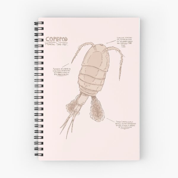 Item preview, Marine Life: Copepod designed and sold by Standardparty.