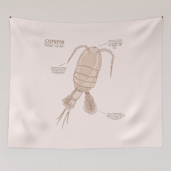 Item preview, Marine Life: Copepod designed and sold by Standardparty.