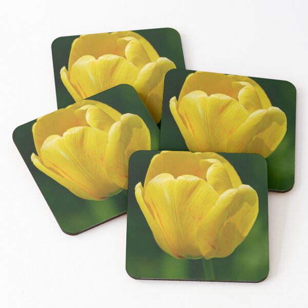Item preview, The yellow sunshine. Tulip designed and sold by Jouko Lehto Photography.