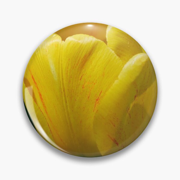 Item preview, The yellow sunshine. Tulip designed and sold by Jouko Lehto Photography.