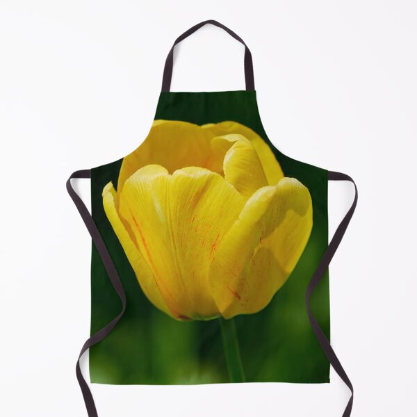Item preview, The yellow sunshine. Tulip designed and sold by Jouko Lehto Photography.