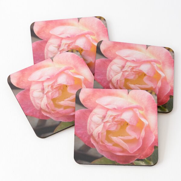 Item preview, Pink Rose designed and sold by Shulie1.