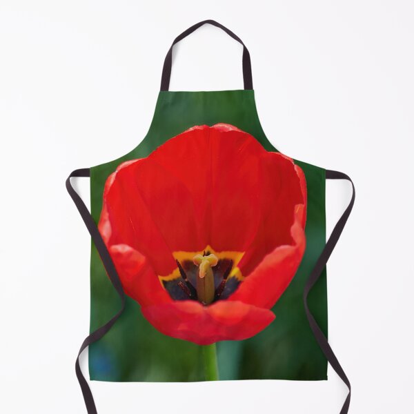 Item preview, Burning red. Tulip designed and sold by Jouko Lehto Photography.