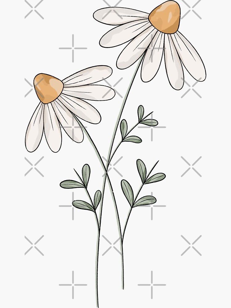 Daisy Flower Sticker for Sale by Jamie Maher